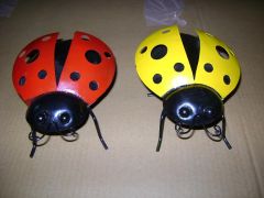 Lady Bug